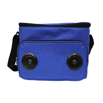 Customized Shape Logo Portable Travel Cooler bag with Speaker